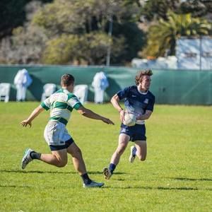 Meet your Posher, Louie